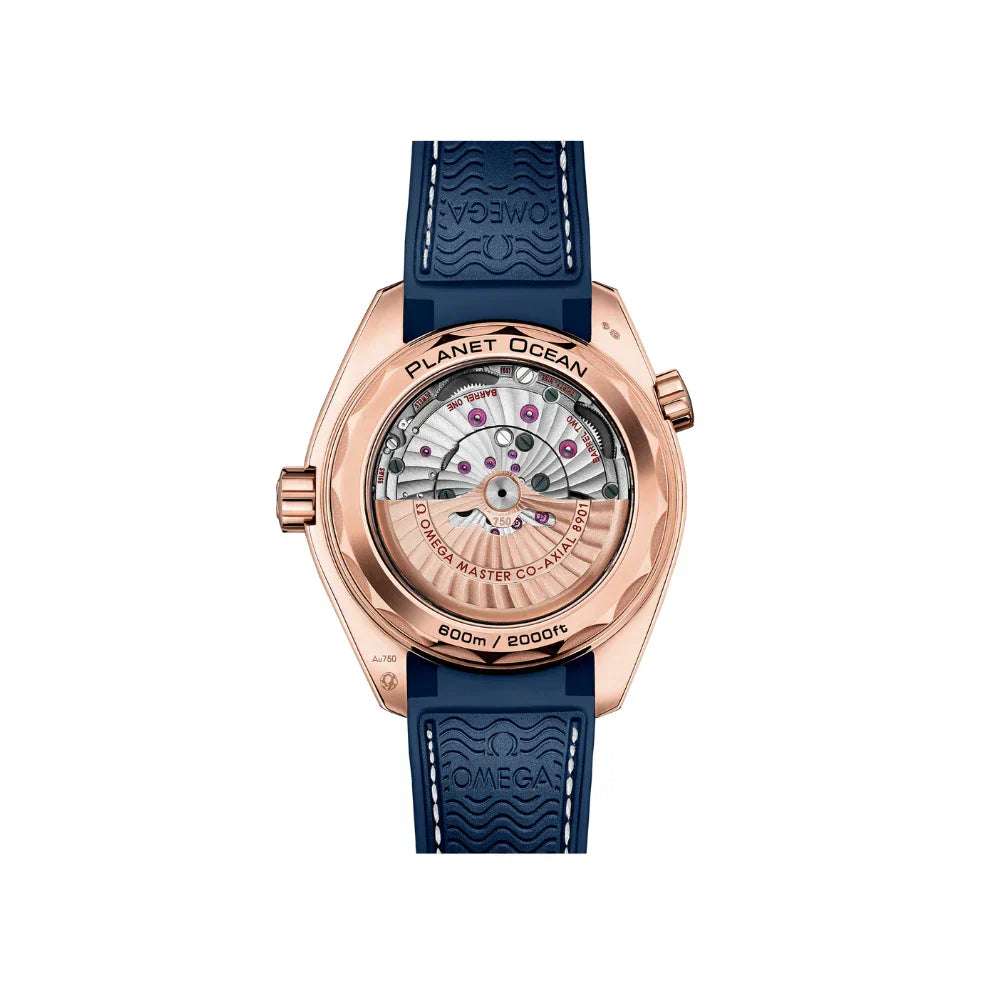 O Seamaster PLANET OCEAN 600M